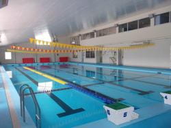 室内温水プール